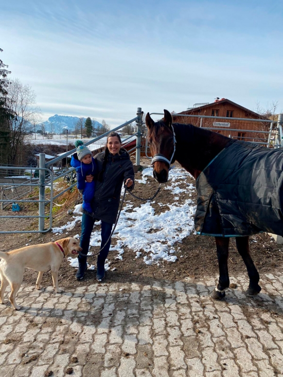 Reiten