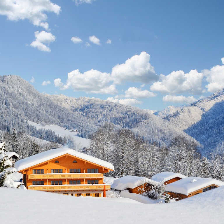 BERGHOTEL BIRKENHOF ****