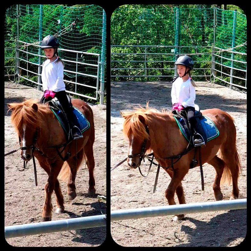 Reiturlaub Reit im Winkl 