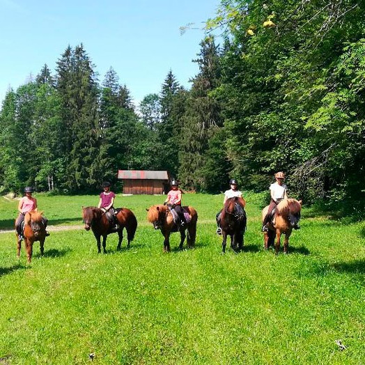 Reiten in Reit im Winkl 
