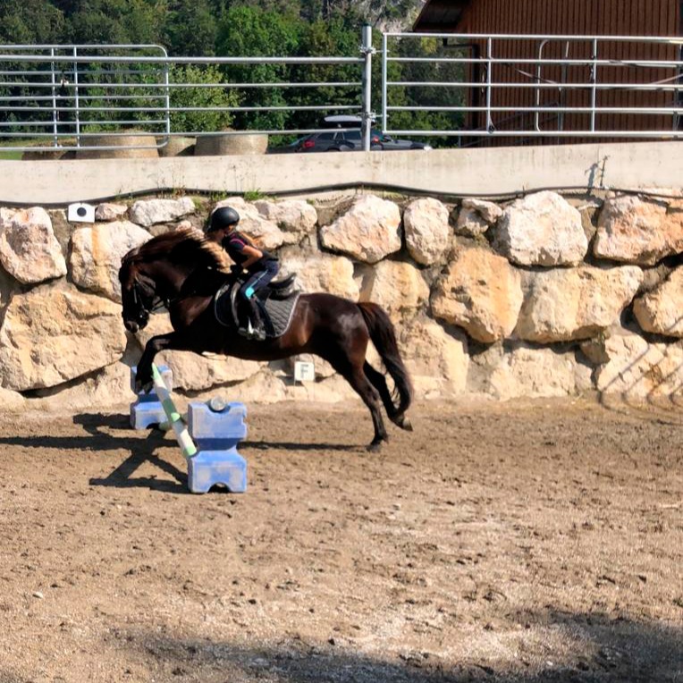 Reitkurse Reit im Winkl 