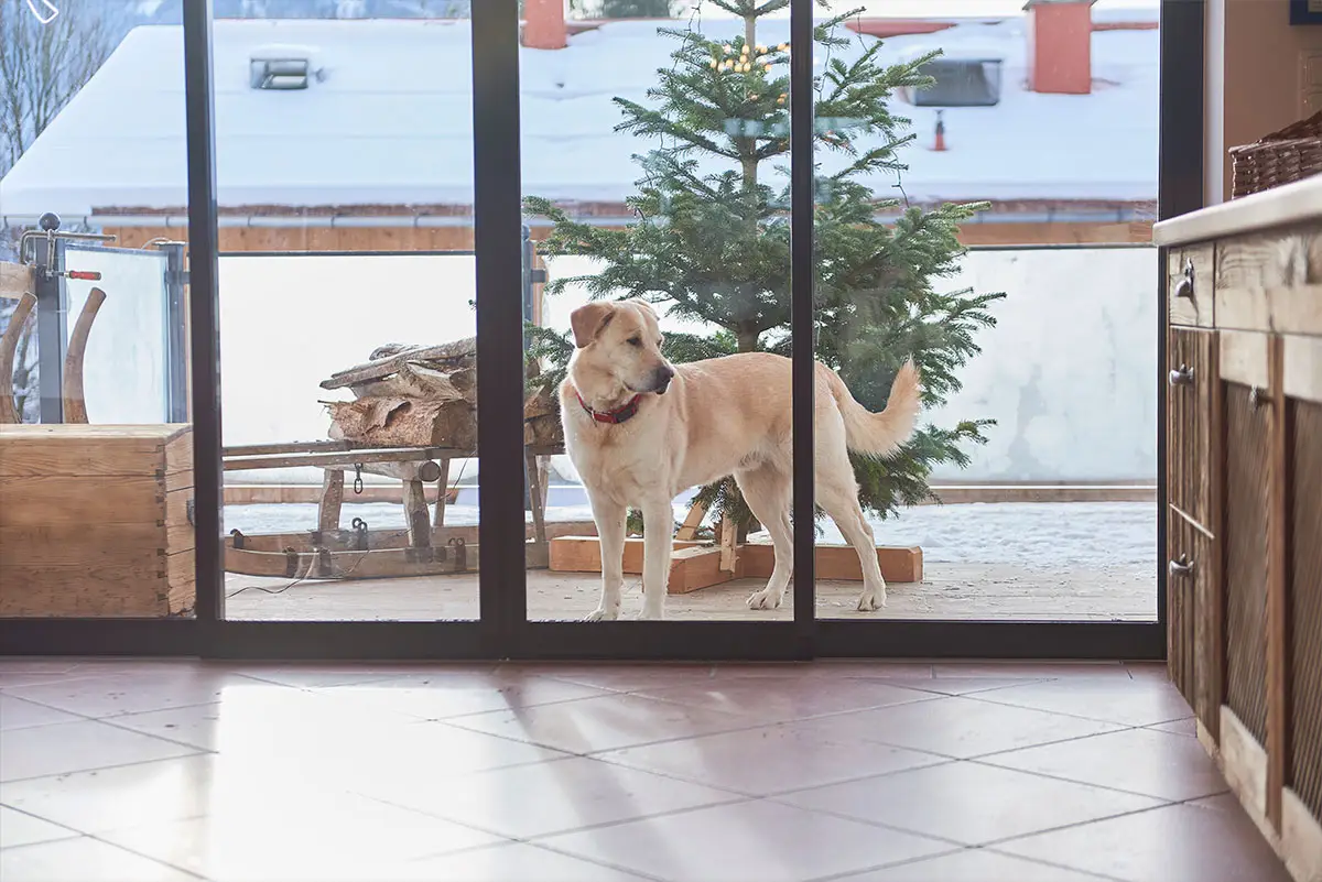 Winterzauber in Bildern 4